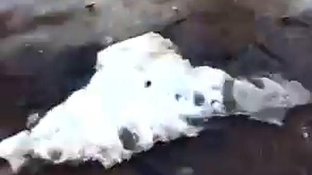 рыбащуку голыми руками ловят мужики красота для рыблововЁ смотреть онлайн