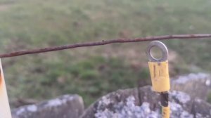 Забор для электропастуха