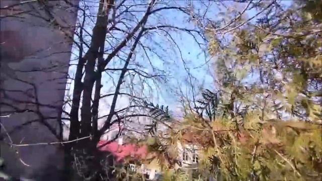 Прогулка по Старому городу с СОРАДЕНИЕМ День160 Walk through the Old City with SORADIENIE смотреть онлайн