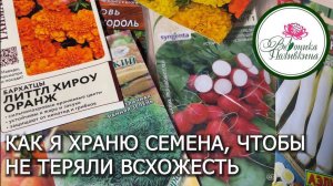 Не теряйте деньги на семенах, которые потеряли всхожесть