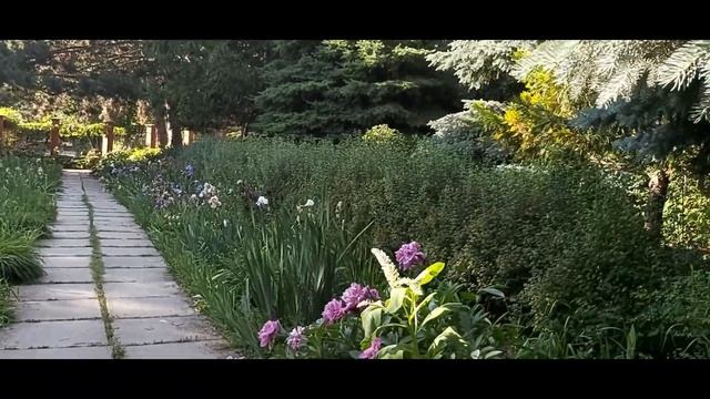 Ботанический Сад "Багрова" смотреть онлайн