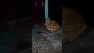Эй, кто за дверью, выходи в сортир по одному..