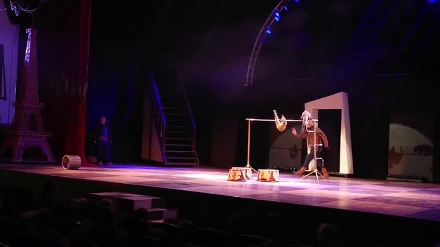 Дрессированные носухи. Цирк Чудес смотреть онлайн