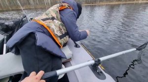 "Окунь, судак и щука" Ловля судака на кружок.