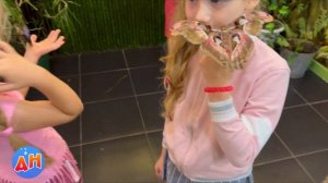 Выставка БАБОЧЕК в Минске! #бабочки #выстовкабабочеквминске