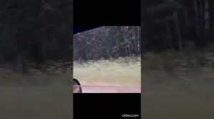 Дорога на Ошу, летняя рыбалка