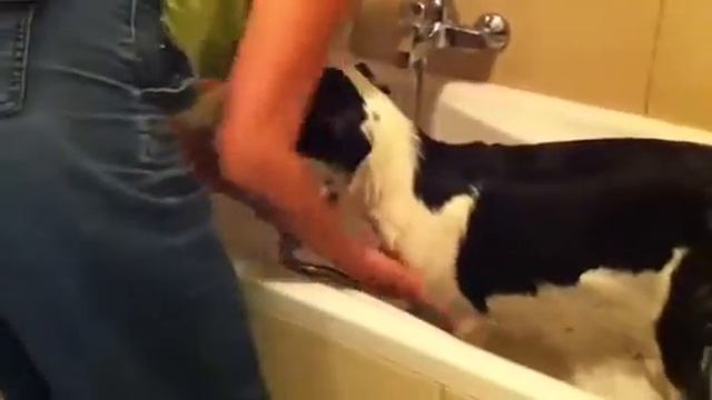 Raki bath 5 смотреть онлайн