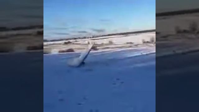 ЛЮБИТЕЛЬСКИЙ ПОЛЁТ НА ДЕЛЬТАПЛАНЕ ПАРАПЛАНЕ