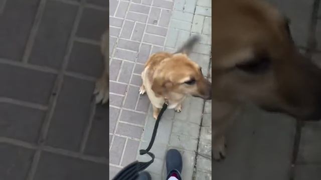 25 февраля 2024 г. смотреть онлайн