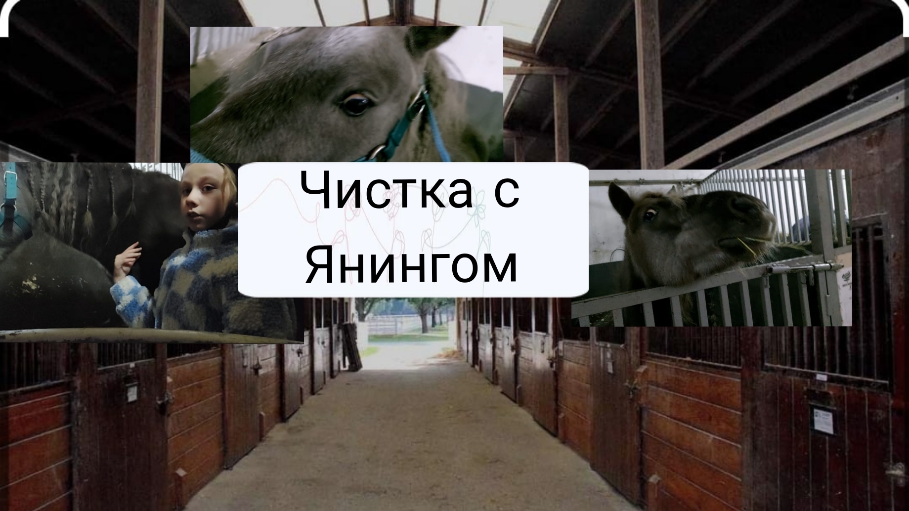 Чистка с Янингом.кск Урожай смотреть онлайн