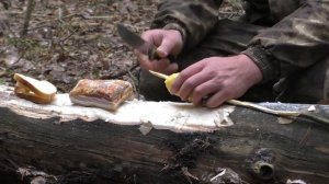 Survival in the Wild Forest at -30