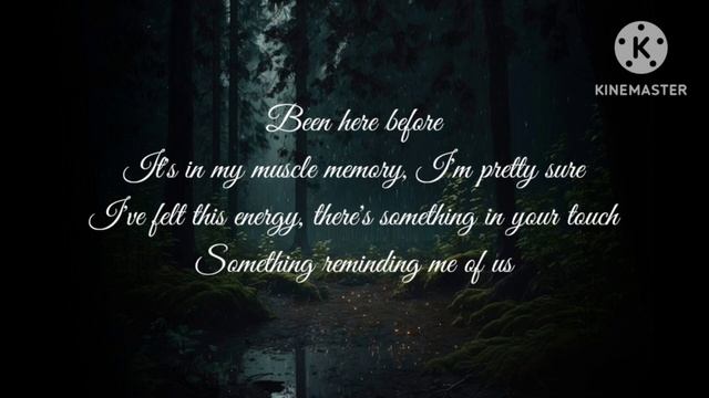 Hero- Alan Walker, Sasha Sloan (Chorus) lyric video смотреть онлайн