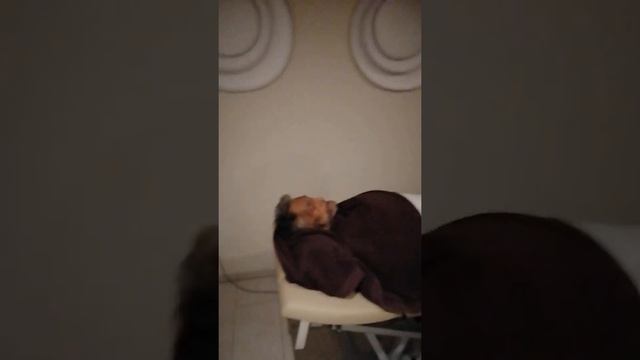 466 Грудное обертывание Разработка программы Б.Р. Увайдова в Crowne Plaza (Боржоми) #ТелоТест