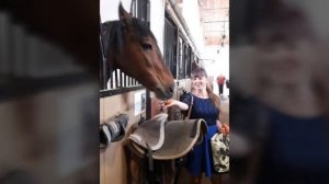 Экскурсия на казанский ипподром.