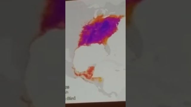 Migration of the Oven Bird and Other Forest Birds смотреть онлайн