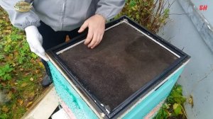 пчеловодство, октябрь, правильная вентиляция  - хорошая зимовка (записки новичка)