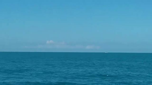 Катаемся на лодочках! В Сочи! Влог!! /викозавр смотреть онлайн