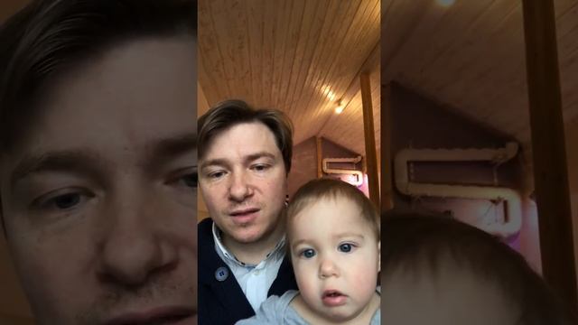 Как выглядит гидропоника настенный вариант. смотреть онлайн