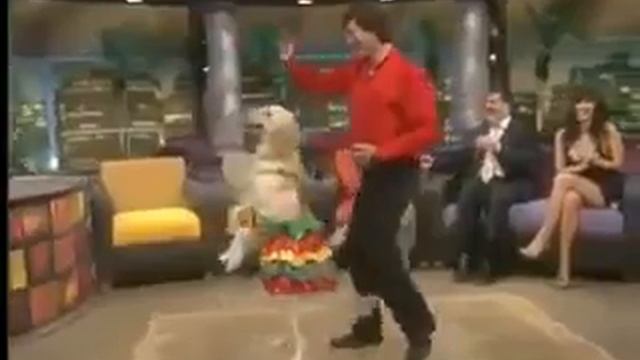 Ит адамдын досу деп бекеринен айтылган эмес да