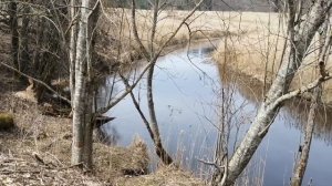 Весенняя прогулка со спиннингом SL rods Rush 712L