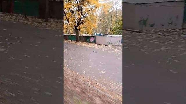 Память прошлого