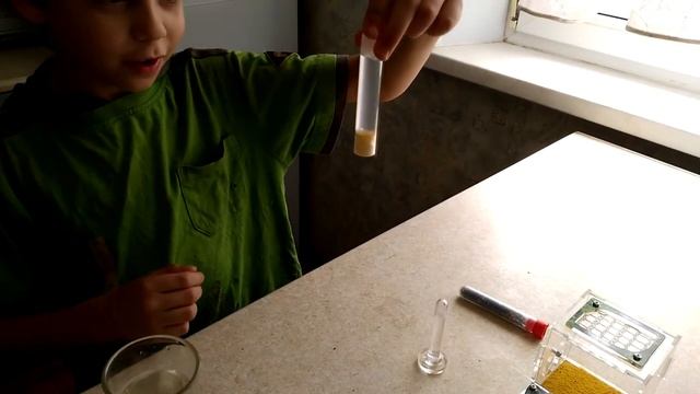 МУРАВЬИНАЯ ФЕРМА. Насекомые для детей (домашний муравейник,часть 3). смотреть онлайн