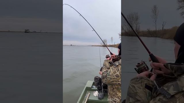 Астрахань.Ноябрь 2022г. смотреть онлайн