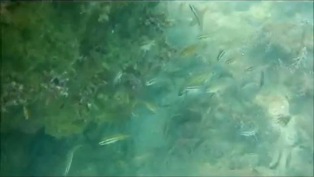 В Черном море смотреть онлайн