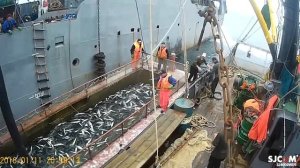 Камчатка ,работа моряком.присут... маты