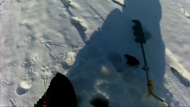 Выезд за окунем. смотреть онлайн