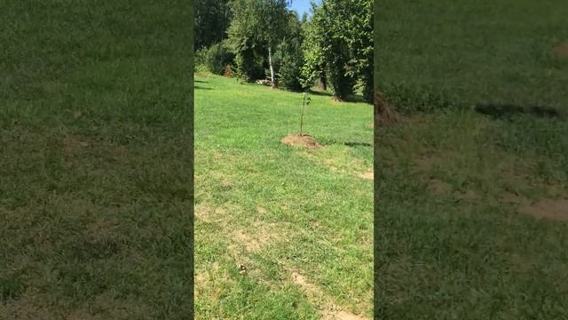 Делай сам. смотреть онлайн