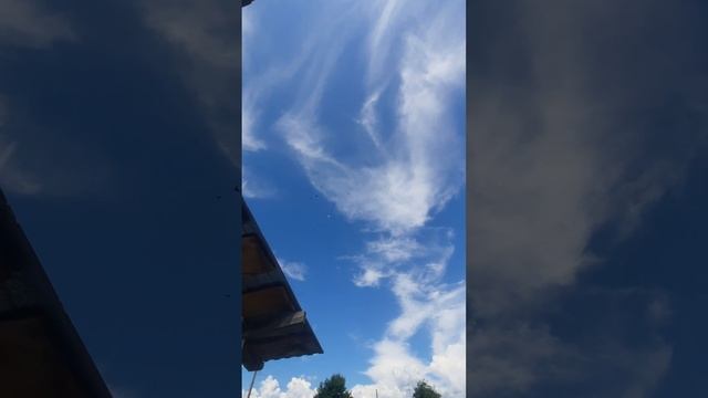 молодняк посадка 2 часть смотреть онлайн