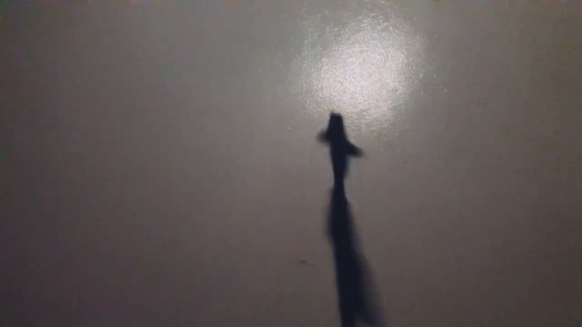 100 years by or30 (shadow puppets) school project смотреть онлайн