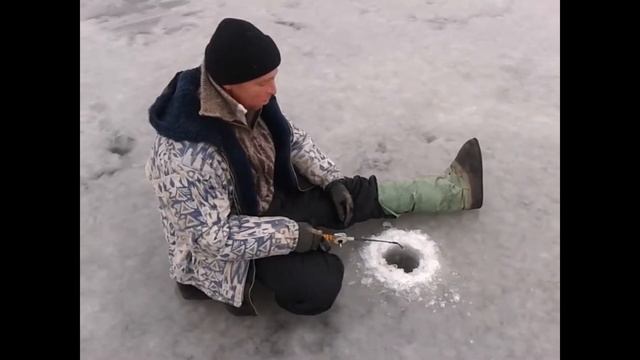 Ловись рыбка...
