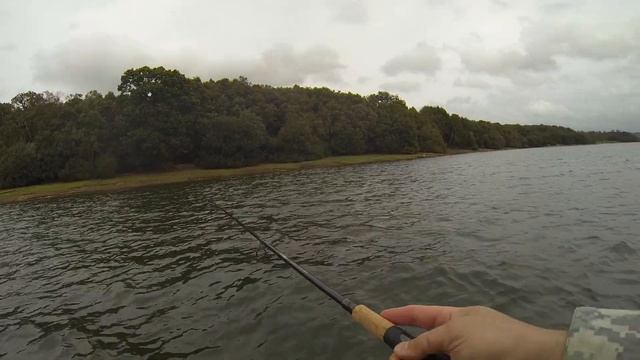 Часть 16. Англия, Bewl Water: Осень 2018. Без редакции. смотреть онлайн