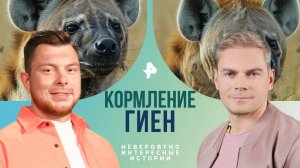 Кормление гиен — Невероятно интересные истории (25.10.2024)