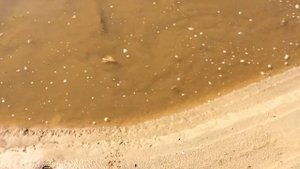 рыбалка в луже/ fishing in a puddle