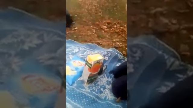 Идём с классом на природу смотреть онлайн