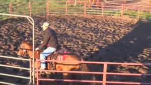 Chief Pontiac: 2011 AQHA Sorrel Gelding - Dry and Cow work