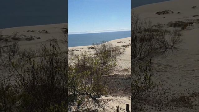 Куршская коса - май 2022. смотреть онлайн