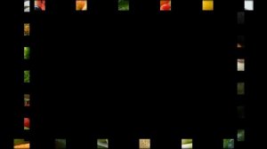 сыроедение 2013