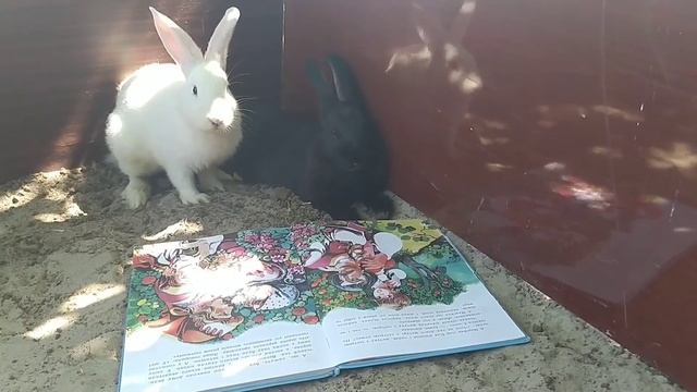 Бани читает книгу . И Билли приходит к нему домой. Обсуждения о школе. (Глава 3) смотреть онлайн