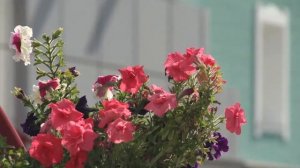 Герман Титов 80 лет mp4