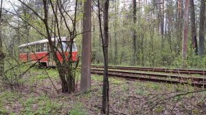 Forest tram line / Трамвай в лесу