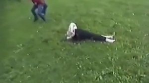 биография Михаила Горшенева