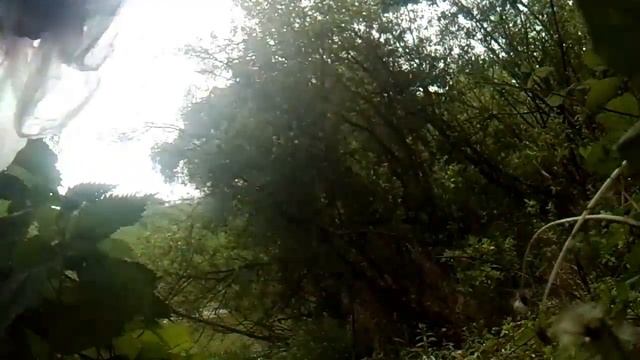 Ловля стрекоз, стою на мосту смотреть онлайн