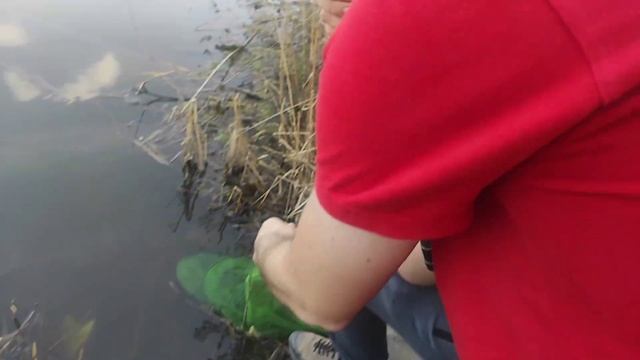 13 апреля 2024 г. смотреть онлайн