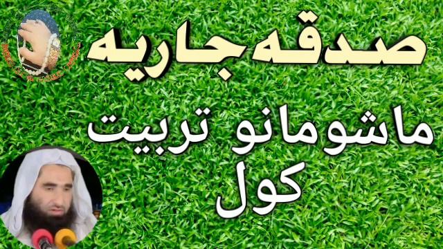 Sheikh Abdulhameed Pashto Bayan | Mashumano tarbiyat Shaikh Abdul Hameed | Roje new bayan 2022 смотреть онлайн
