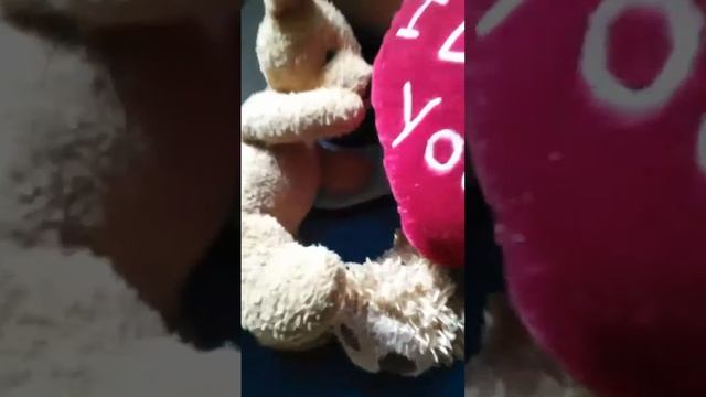 Nunta alu Marty si Angela Ciposa!!!! смотреть онлайн