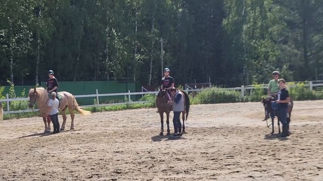 4# Верховая езда / 4 смена / лагерь Дорога Добра г. Королёв смотреть онлайн